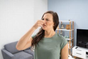 heat pump smells in Wesley Chapel, FL
